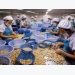 Vietnam seeks to stay on top of world cashew market