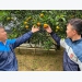 Sweet fruit season in Nam Son