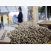 Vietnam coffee prices fall in line with weak London; trade picks up in Indonesia