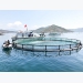 Developing marine aquaculture into a large-scale commodity production industry