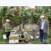 Hanoi creates codes for banana growing areas