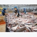 China to lower tariffs on many imported seafood products