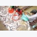 Fish exporters left lost at sea
