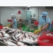 Tra fish industry grapples with export difficulties