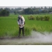 World Bank offers advice on reducing agricultural pollution in Vietnam