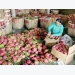 Chinese firms must report origin of Vietnamese fruits