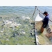 Đồng Tháp farmers bet on tra fish