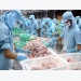 Tra fish exports target US$2.3 billion