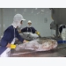 There are only about 90 tons of seafood which has been caught and not exported yet