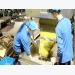 Viet Nam cashew market hard to forecast due to coronavirus outbreak
