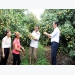 Tan Yen expands lychee areas grown under VietGAP standard