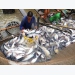 Viet Nam catfish sellers try to conquer home market