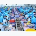 Viet Nam seafood exporters not too worried about COVID - 19