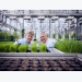 BASF's focused approach boosts agricultural innovation by 25 per cent