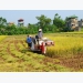 Business-cooperative-farmer linkage: Key to modern agriculture