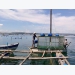 Vietnam striving to promote sustainable marine aquaculture development