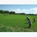 Hiệu quả từ lớp nghề trồng lúa nước năng suất, chất lượng cao ở Phú Yên