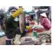 Cá rò ùa về cửa biển Thuận An