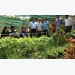 Japanese NGO assists Vietnamese farmers in producing safe greens