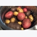 Potatoes In a Container -There Is An Interesting Method For Growing At home