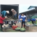 Yen Dung develops safe vegetable brand