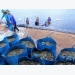 Vietnam’s shrimp export likely to miss $10bn target due to price drop