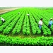 Young officials to join agricultural cooperatives