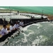 Bạc Liêu: Mới lạ nuôi tôm siêu thâm canh trong hồ nổi tròn