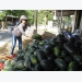 Vietnamese farm produce seeks to reach French customers