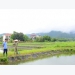 Tuyên Quang develops sustainable aquaculture