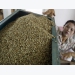 Asia Coffee: Low prices in Vietnam, elections in Indonesia slow trade