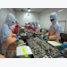Zero-percent tariffs prove Vietnamese shrimp exporters’ transparency