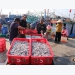 Seafood exporters lose half of all orders to pandemic