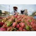 Vietnam seeks new markets for farm produce