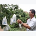 Tiền Giang’s Q1 fruit exports up 20.3%
