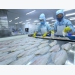 Seafood exporters floundering due to COVID-19