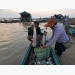 Chăn nuôi cá tra - Chất lượng nước và an toàn sinh học