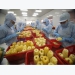 Vietnamese fruit and vegetable sector targets export revenue of $10 billion