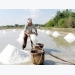 Linkage with enterprises, technological app needed to raise salt farmers' profit