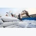 Vietnam's rice exports return to growth