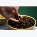 Vietnam's exporters hunt for robusta coffee as supplies dwindle