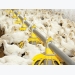 Poultry performance improves over past decades