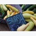 10 Summer Squash Varieties: Some You Know, Some You Don’t