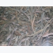 Công nghệ nuôi cá chình hoa thu hoạch 70kg/m3 nước
