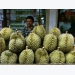 China tightens import standards for Vietnamese fruits