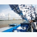 Viet Nam government cautious about exporting rice despite plentiful supply