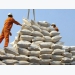 National rice exports reach over 141,500 tonnes by April 24