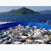 Norway - Decades-long supporter of Vietnam’s marine aquaculture