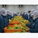Vietnam seeing strong growth in vegetable, fruit exports