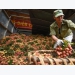 E-commerce brings Vietnamese agricultural products to global market